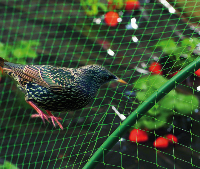 MALLA ANTIPÁJAROS BIRDNET